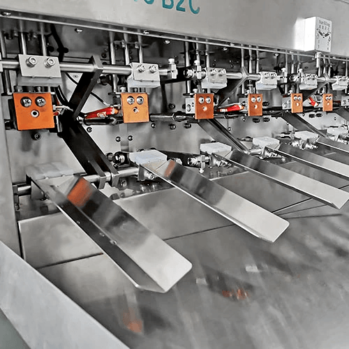 Envasadora e Seladora Semiautomática para Embalagens Pré-Formadas CSFSM 1410 B2 - imagem 4