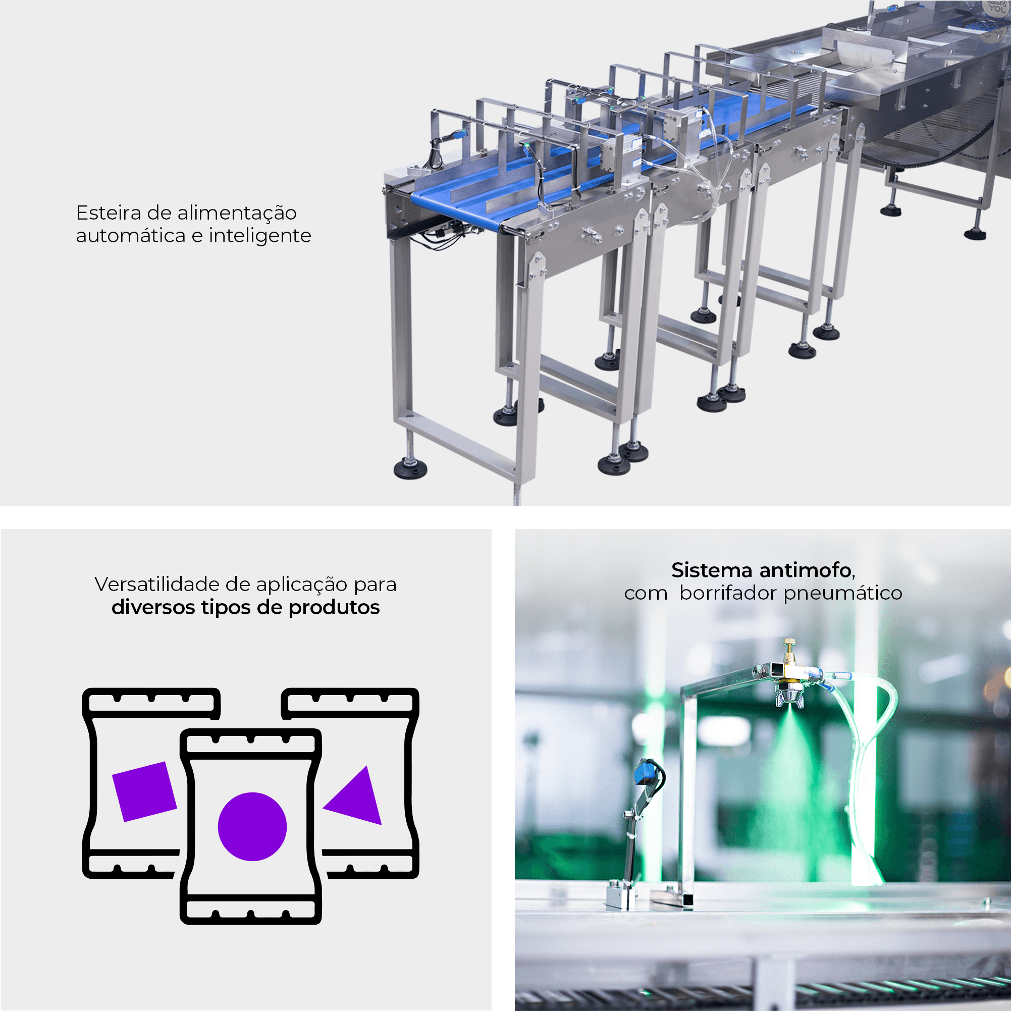 Flow Pack Convencional com Borrifador e Esteira para Alimentação Automática dos Produtos CAPM FP-600 S AF - imagem 3