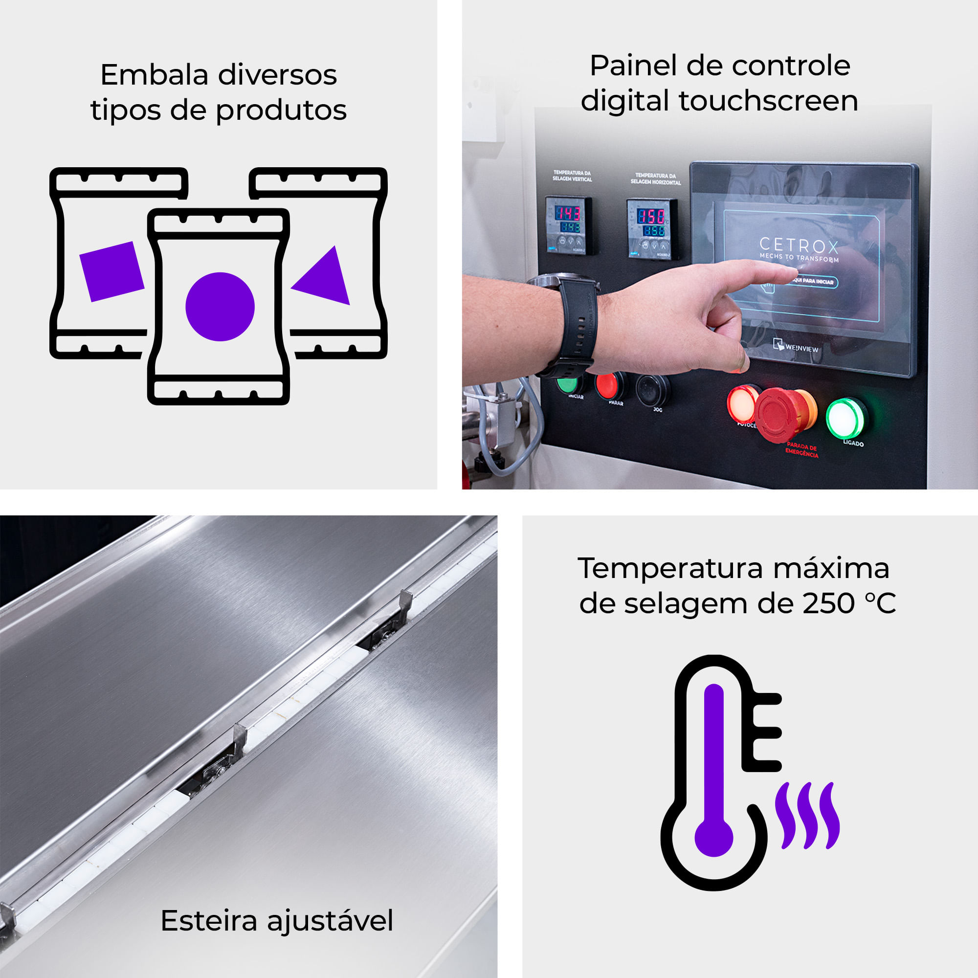 Flow Pack Convencional CAPM FP-250 - imagem 2