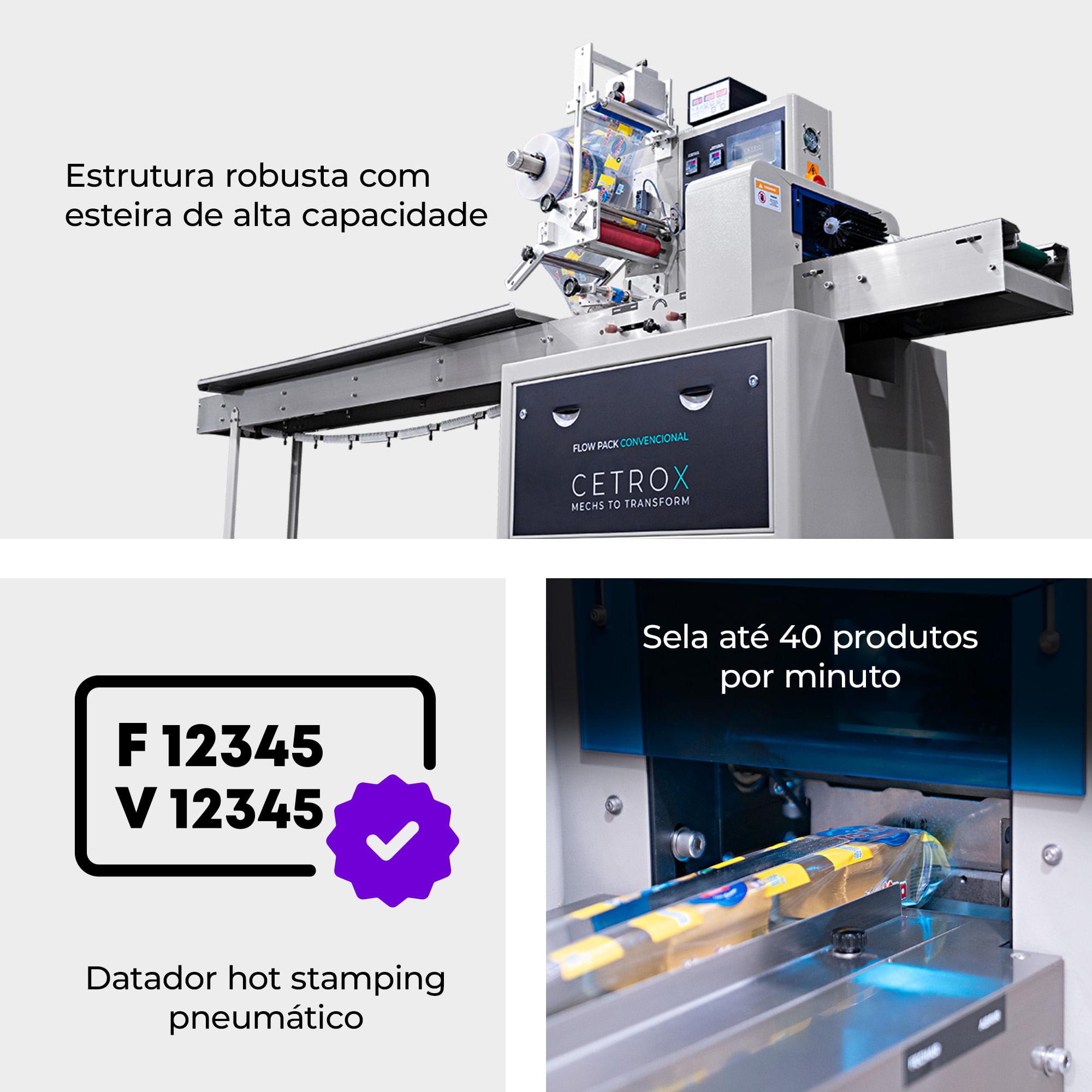 Flow Pack Convencional CAPM FP-250 - imagem 3