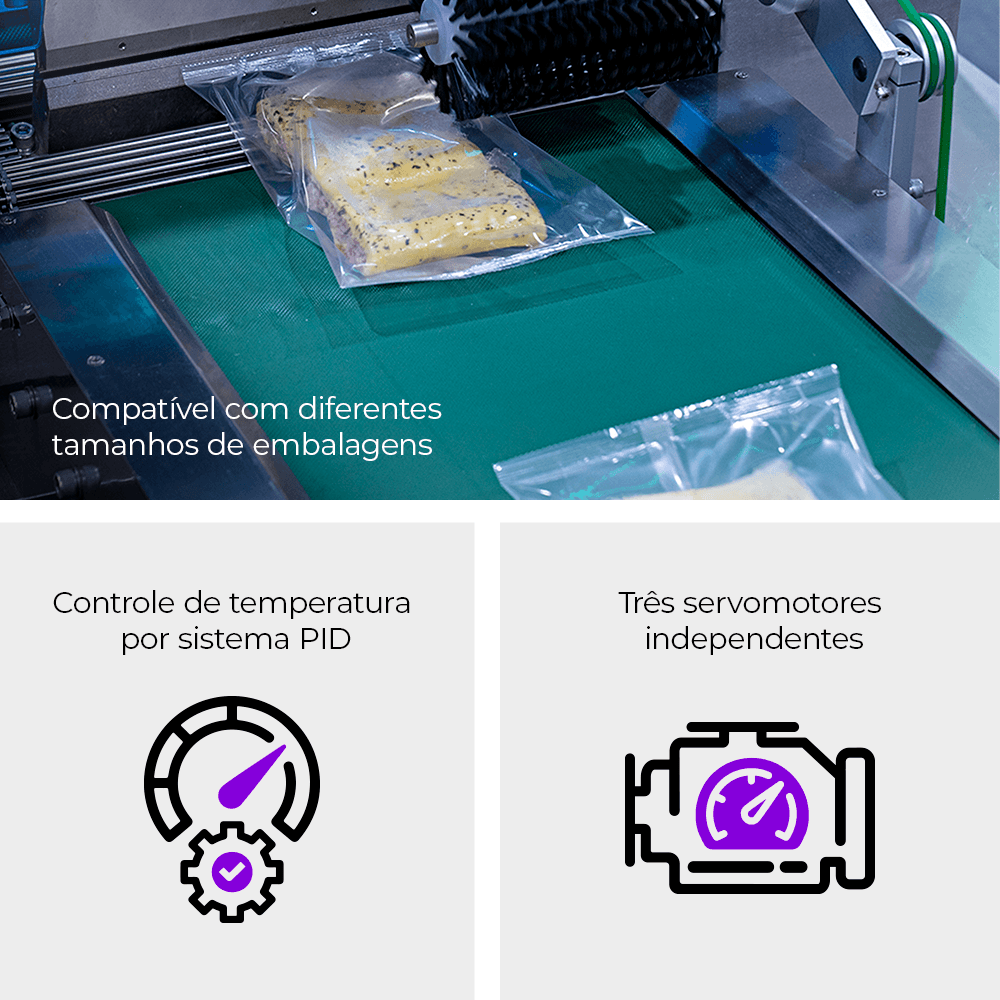 Flow Pack Convencional em Inox 304 CAPM FP-700 SS304 - imagem 4